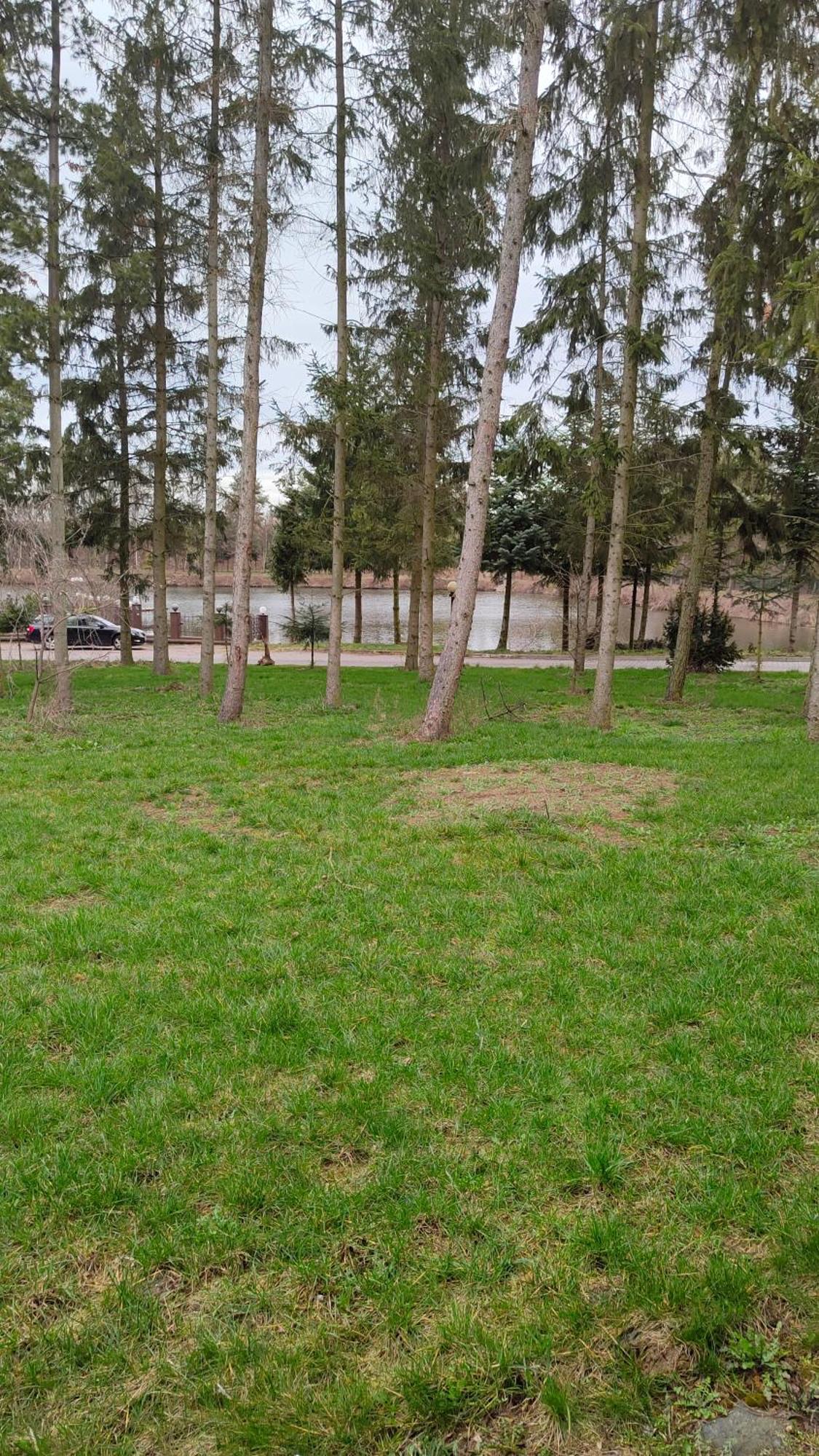 Biernat S.J. Hotel Gadki Bagian luar foto